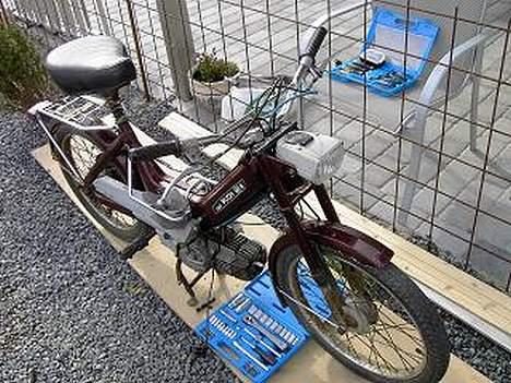 Puch maxi p  (solgt) billede 5