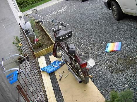 Puch maxi p  (solgt) billede 7