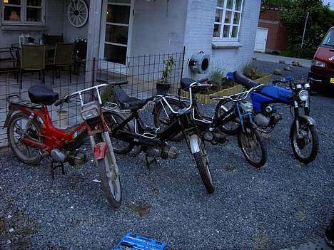 Puch maxi p  (solgt) billede 15