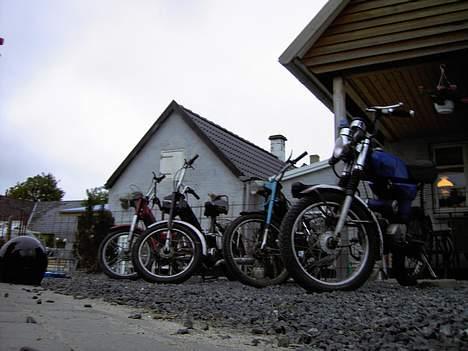 Puch maxi p  (solgt) billede 16