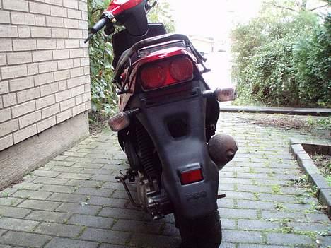 PGO Hot 50 billede 7