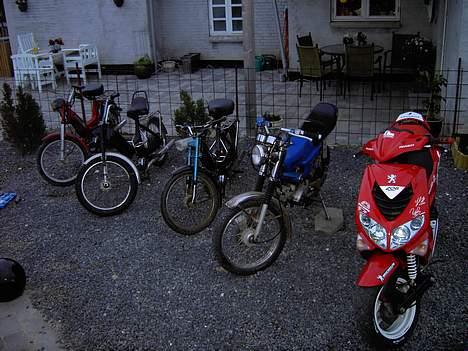 Yamaha 4g fs1 solgt billede 13