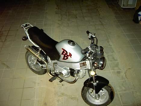 Skyteam PBR ST50 125 ccm - Med ny udstødning og 125 ccm motor billede 16