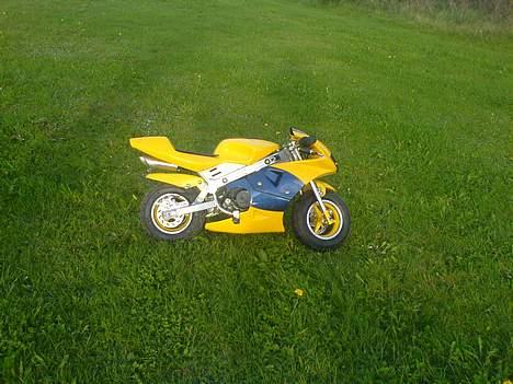 MiniBike Daytona billede 6