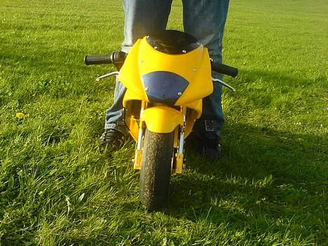 MiniBike Daytona billede 10