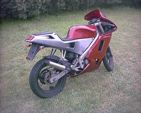 Derbi GPR 50 LC DD (B: Til SFX) billede 4