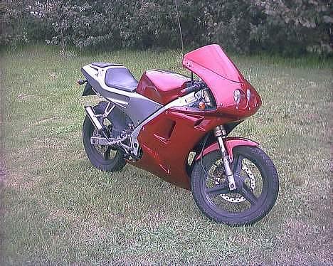 Derbi GPR 50 LC DD (B: Til SFX) billede 7