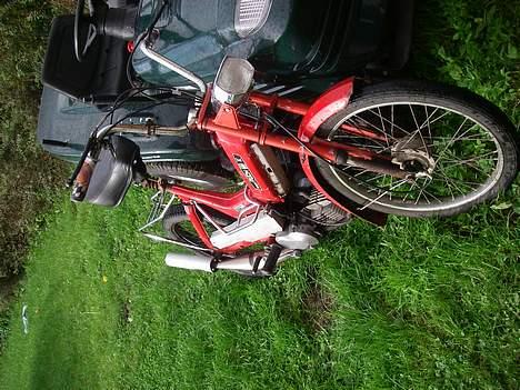 Puch maxi k billede 2