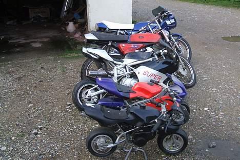 MiniBike byttet  - alle mine igen billede 7