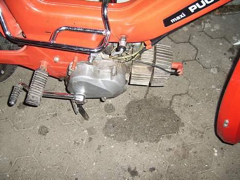 Puch Maxi k(Stel fra P) billede 7