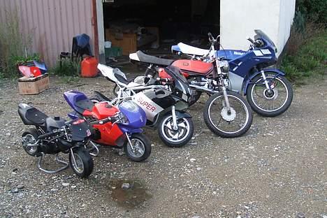 MiniBike daytona    Solgt - alle mine billede 8