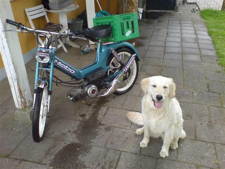 Puch Maxi KL billede 3
