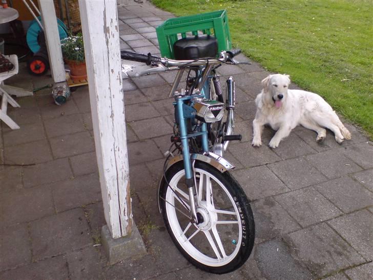 Puch Maxi KL - HEBO på forlygten. billede 4