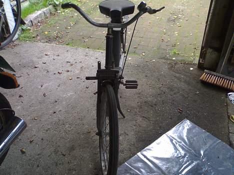 Velo Solex 3800 SOLGT - Skønheden:  Forfra billede 3