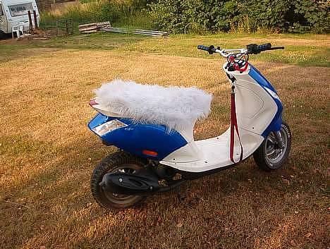 Piaggio New Zip Byttet til Raptor billede 4