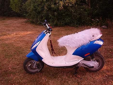 Piaggio New Zip Byttet til Raptor billede 5