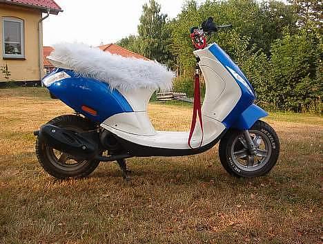 Piaggio New Zip Byttet til Raptor billede 6