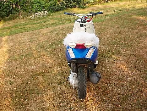 Piaggio New Zip Byttet til Raptor billede 10