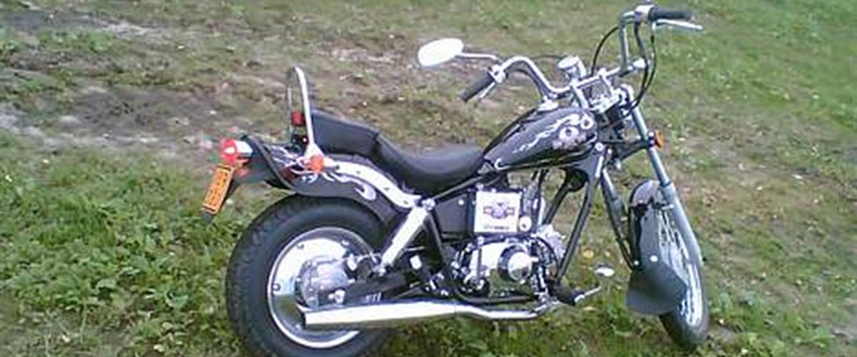 Regal Raptor Ruchi 7 Regal Raptor