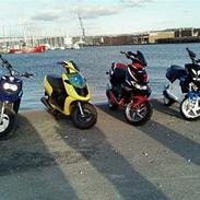 Yamaha  • Slider • Corsa SOLGT