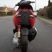 Aprilia sonic