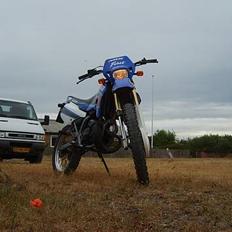 Suzuki RMX
