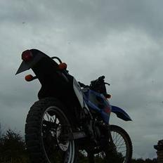 Suzuki RMX