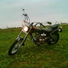 Regal Raptor "SOLGT"