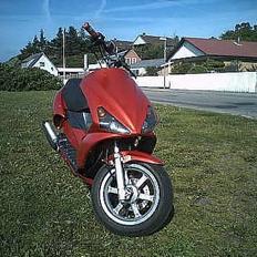 Benelli 491 / EvoNelli