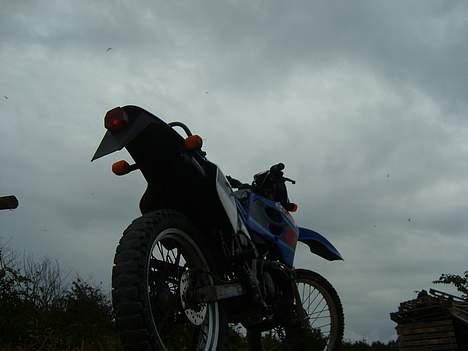 Suzuki RMX billede 3
