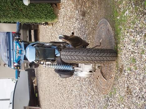 Suzuki Street Magic Solgt billede 3