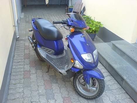 PGO Dr. Big (solgt) billede 4