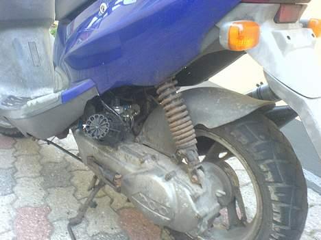 PGO Dr. Big (solgt) billede 6