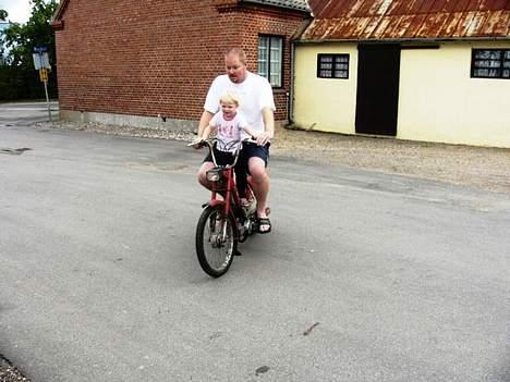 Puch Maxi P (solgt) billede 4