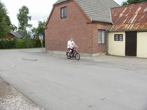 Puch Maxi P (solgt) billede 5