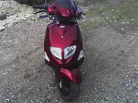 PGO dr.big SOLGT - dårligt billed billede 2