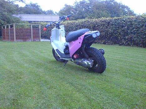 PGO Hot 50/byttet til rally billede 11