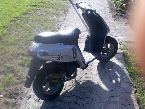 Piaggio typhoon solgt billede 2