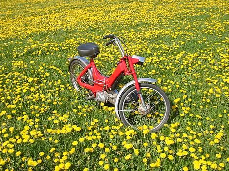 Puch Maxi K - Solgt :'( - 05-05-07 nyt  billede 6