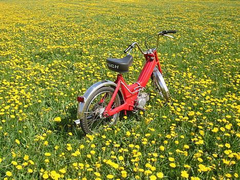 Puch Maxi K - Solgt :'( - 05-05-07 nyt billede 8