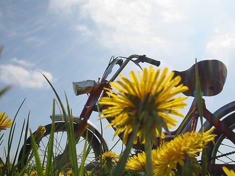 Puch Maxi K - Solgt :'( - 05-05-07 nyt.. ala pro :D billede 11