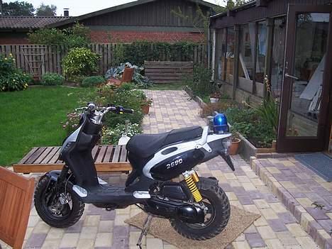 PGO Pmx Naked - Beeam billede 2