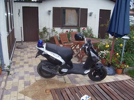 PGO Pmx Naked - Beeam billede 11