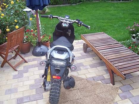 PGO Pmx Naked - Beeam billede 12