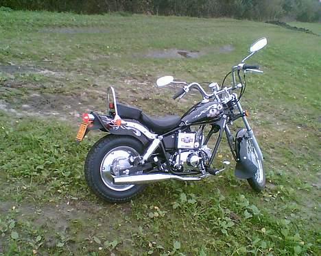 Regal Raptor "SOLGT" billede 1