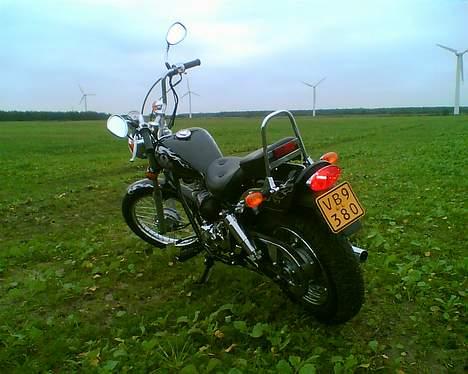 Regal Raptor "SOLGT" billede 2