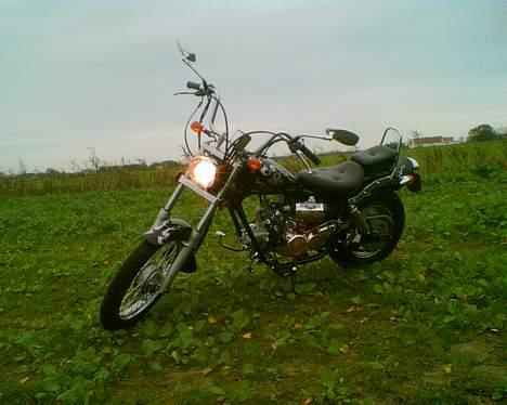 Regal Raptor "SOLGT" billede 3