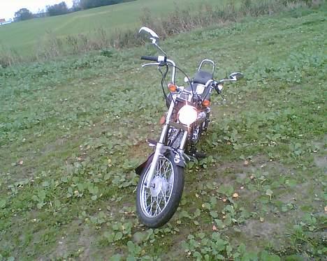 Regal Raptor "SOLGT" billede 4