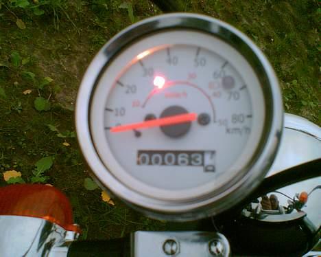 Regal Raptor "SOLGT" billede 5