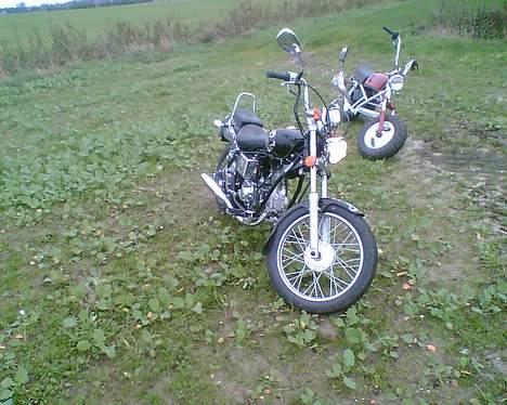 Regal Raptor "SOLGT" billede 6